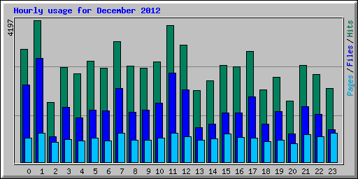 Hourly usage for December 2012