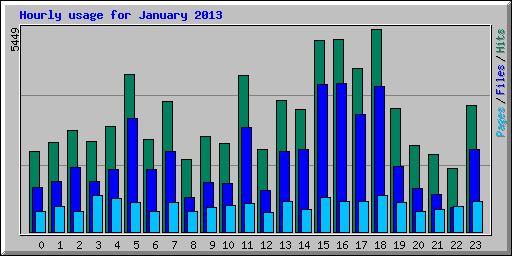 Hourly usage for January 2013